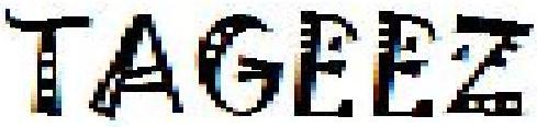 Tageez Logo